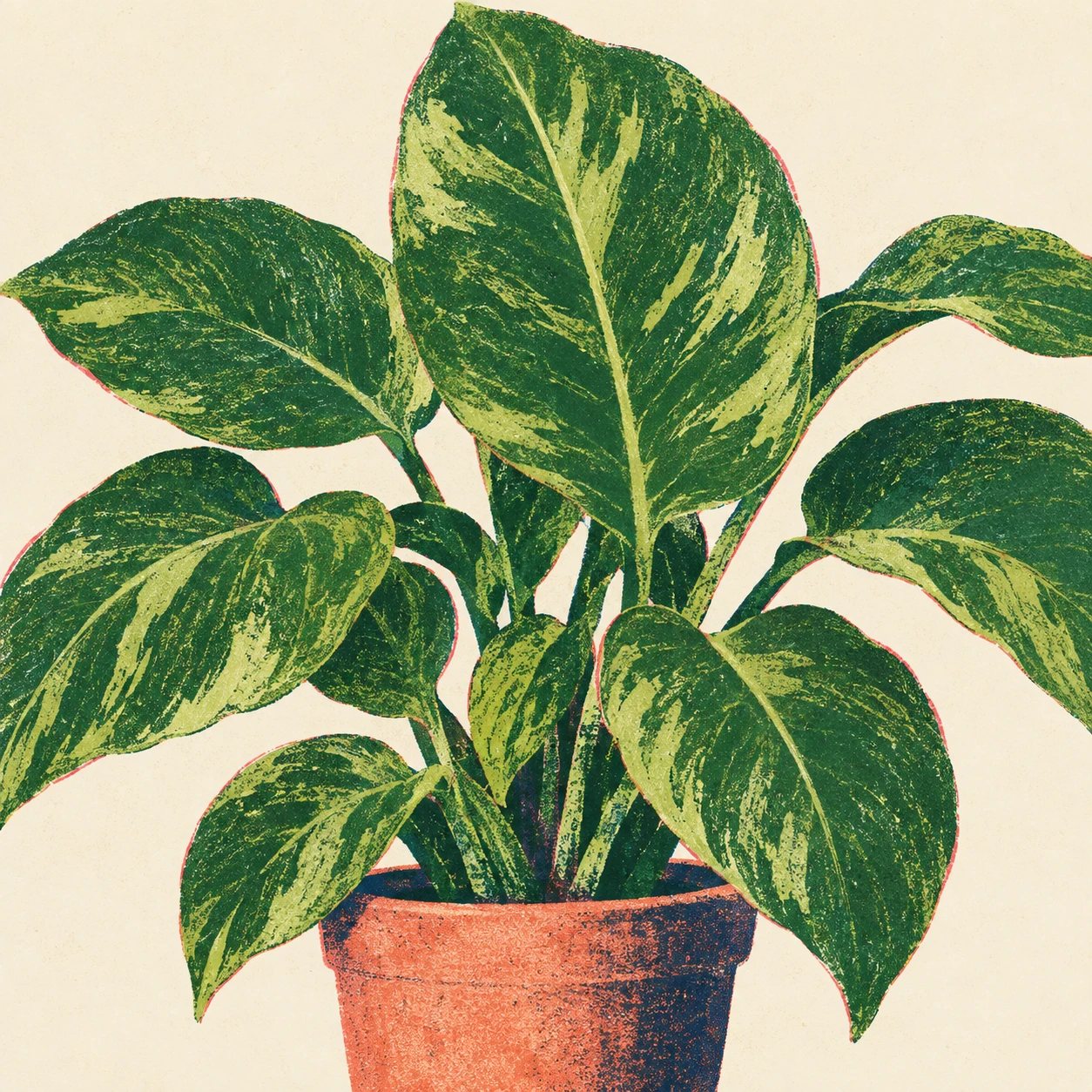 観葉植物のプロフィール用画像（レトロ印刷）